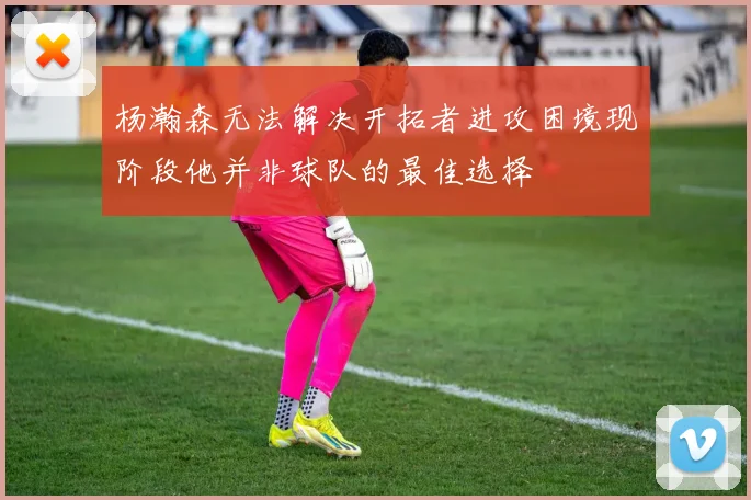 杨瀚森无法解决开拓者进攻困境现阶段他并非球队的最佳选择