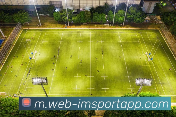 App Interface Preview