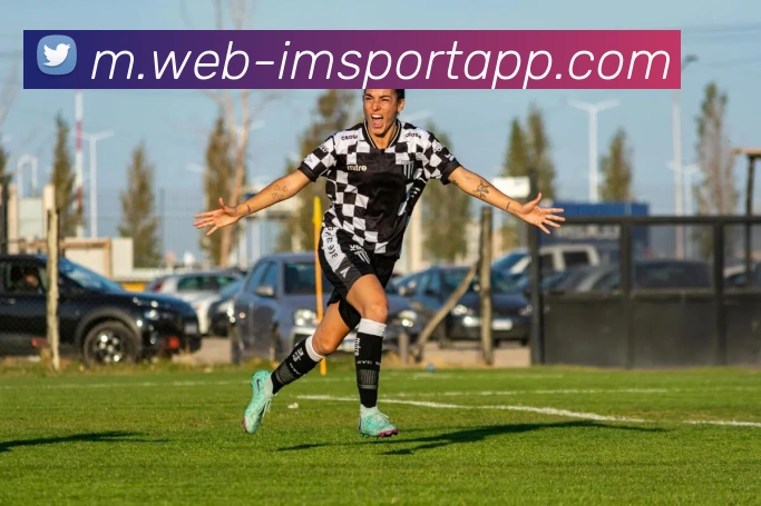 IM体育APP 封面图